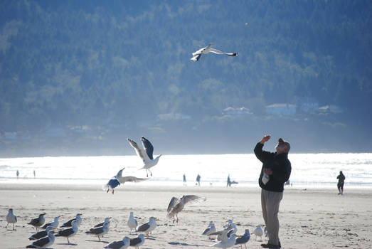 man with the birds