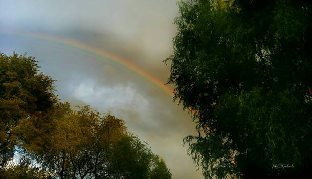 Rainbow today......