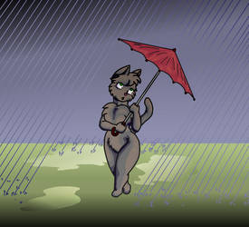 Grey Doodl Cat Inna Rain