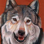 Wolf Portrait