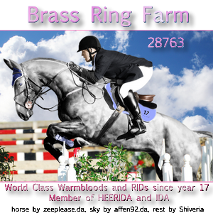 Brass Ring Farm Stable Avatar