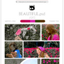 PSD #093 - Beautiful By Mila