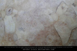 Texture 14 - Pumpkin