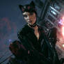 Batman Arkham Knight Catwoman Selina Kyle