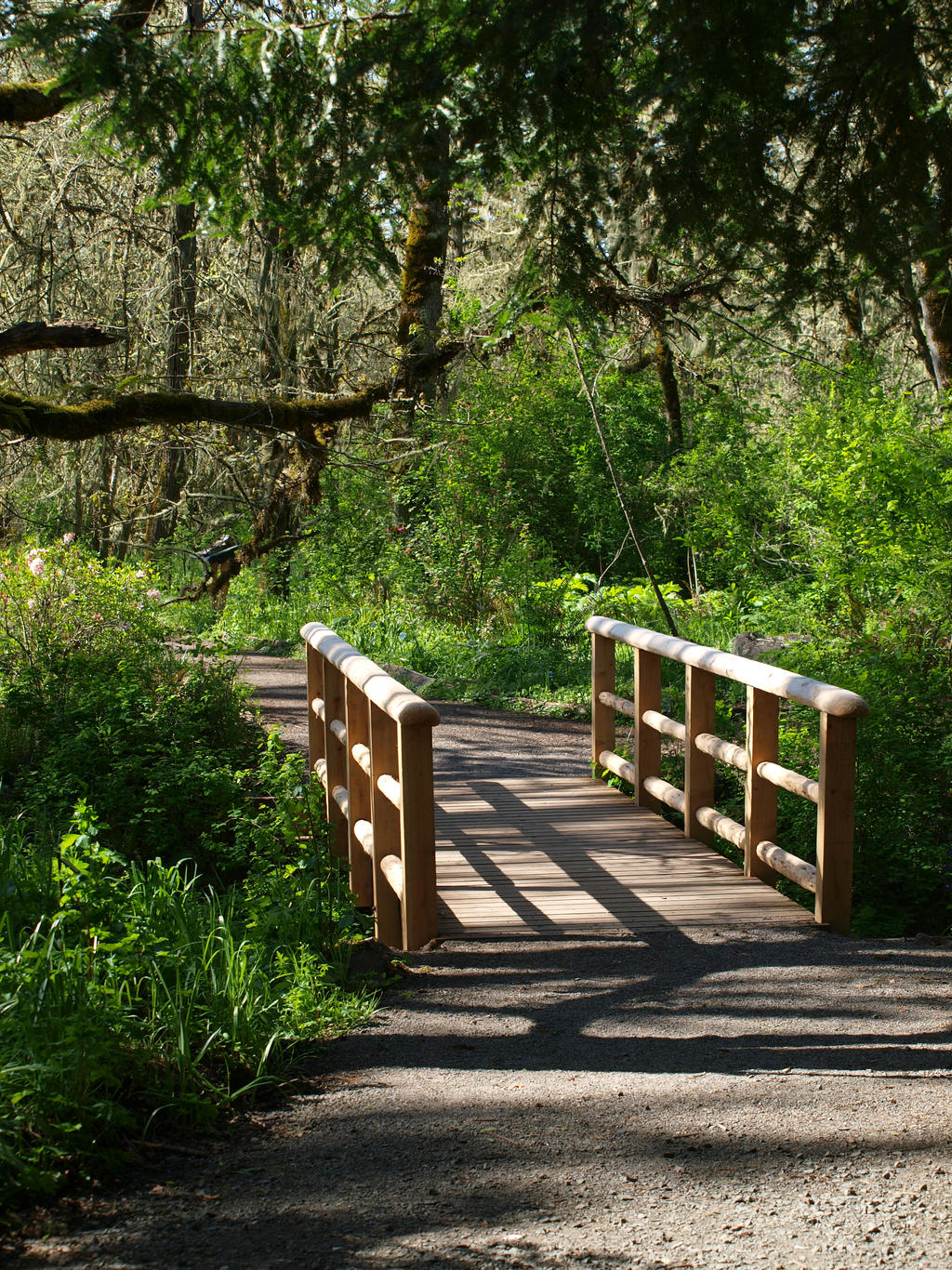 Forest Landscape with Bridge