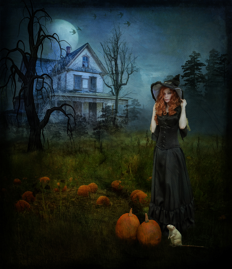 Awaiting the Arrival by hollkat46