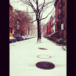 Snowy days in Brooklyn