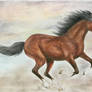 Galloping Horse