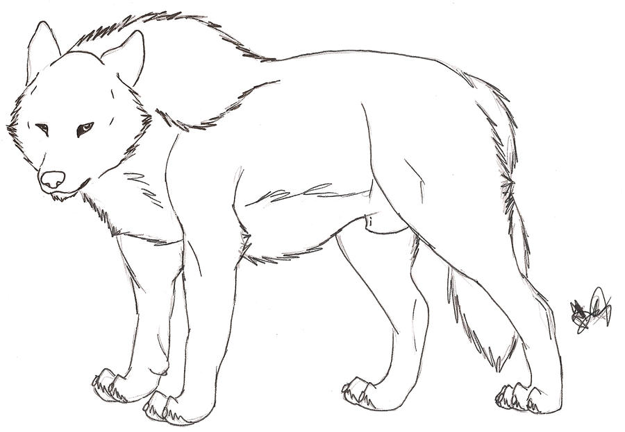 Free Lineart - Male Wolf by Rurouna on DeviantArt
