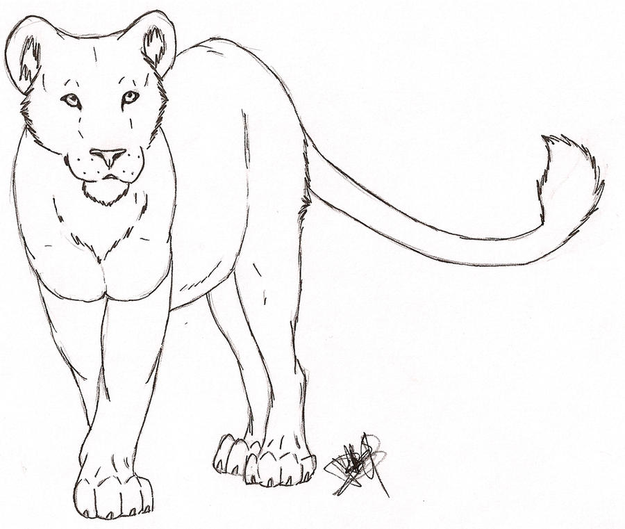 Lioness for McDumbles