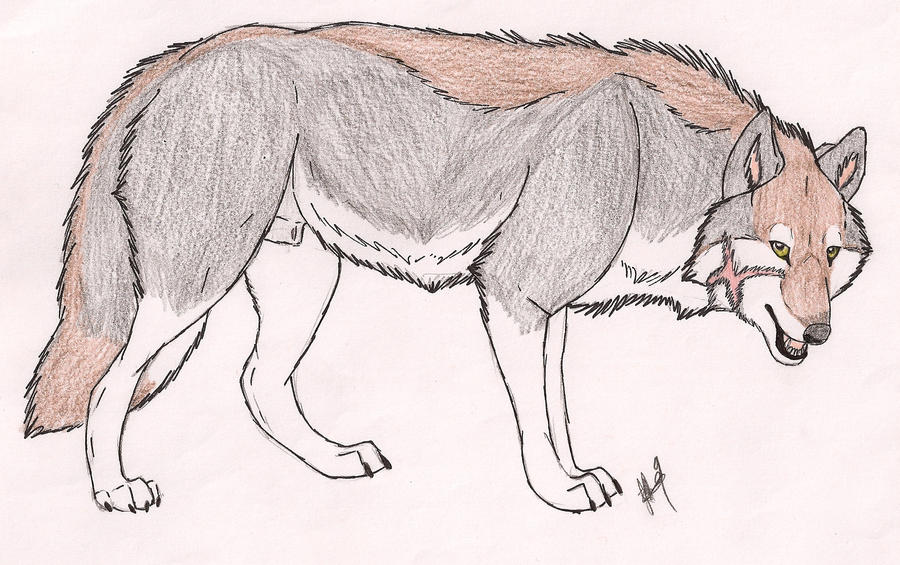 LTRC - OC - Ridge by Rurouna on DeviantArt