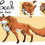Leah - fox form (New design)