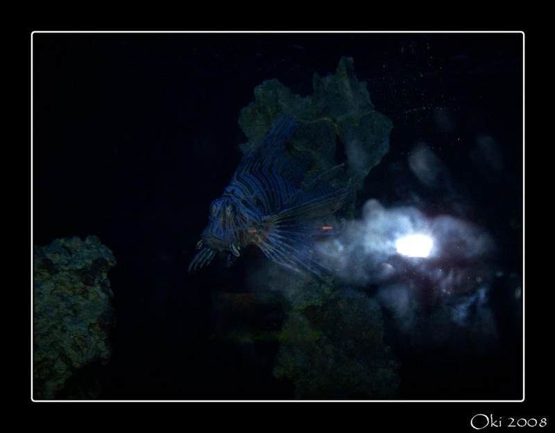 Demonic Fish by Oki666 on DeviantArt