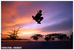 Silhouette Sunset Skater by Flanegan