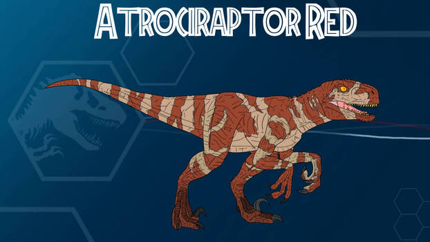 Red The Raptor BaryDW User Profile | DeviantArt