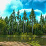 Verdant Ponds - New Deersborough Forest