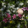 Climbing the Blossombranches