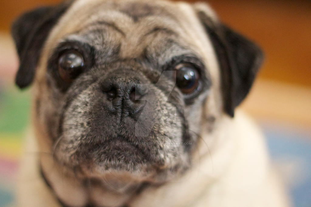 Uncle Rudy by anewbirdseyeview on DeviantArt