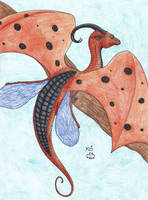 Ladybird Dragon