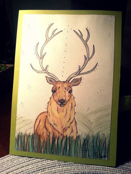 Deer birthday card