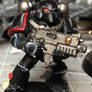 Raven Guard