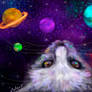 cat in space