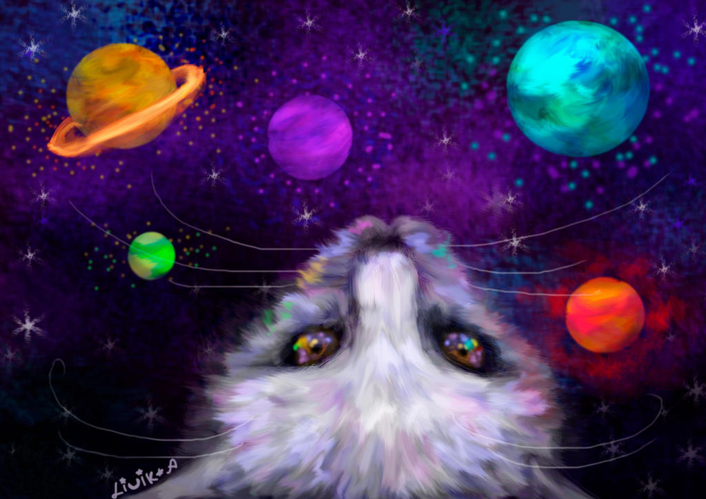 cat in space by LiCiK-A