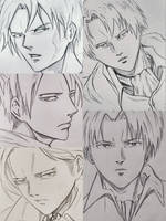 Levi sketches