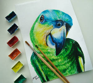 Parrot (photo version)