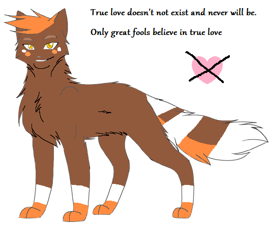 Believe In True Love Warrior Cats By Idulilu On Deviantart