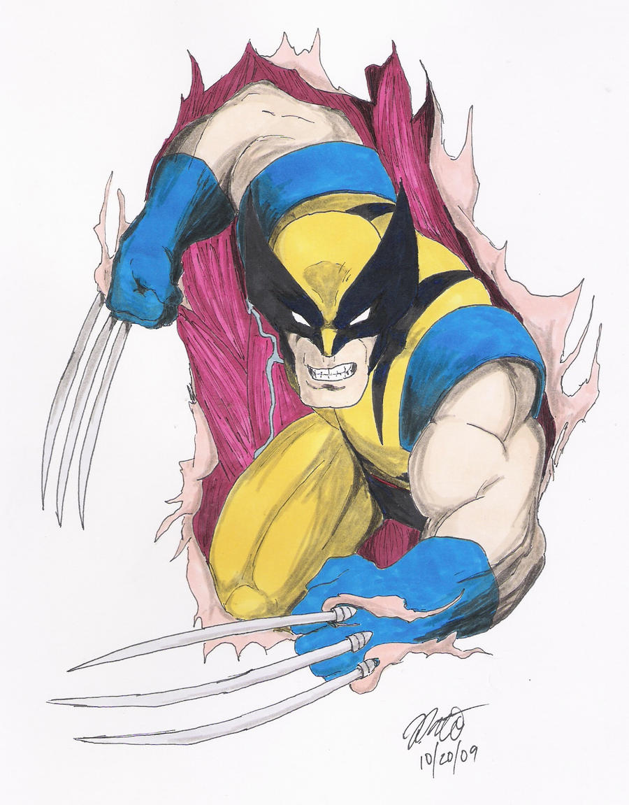 Wolverine Ripping Thru Skin by BaldPat on DeviantArt