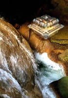La tartaruga delle Sirene