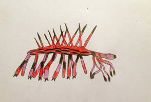 Day 1 - Favourite Cambrian Animal
