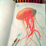 SkecthBook - Jellyfish