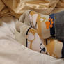 Return f the sexy shiba socks and feet