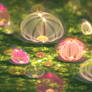 Budding