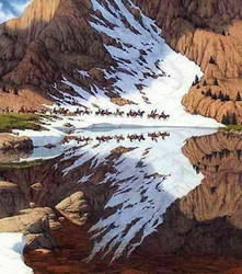 Reflection Art