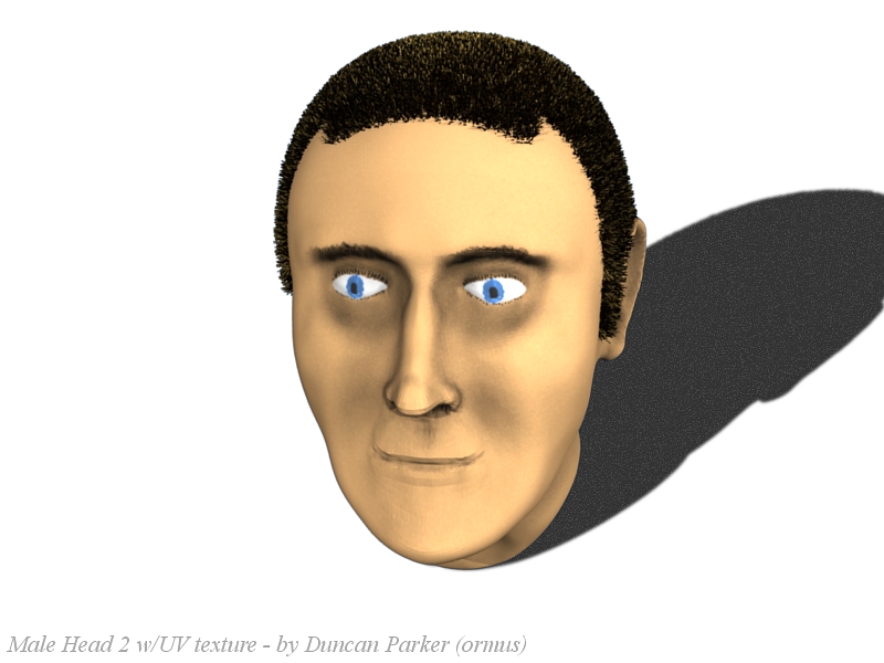 Male Head 2 w-UV Texture