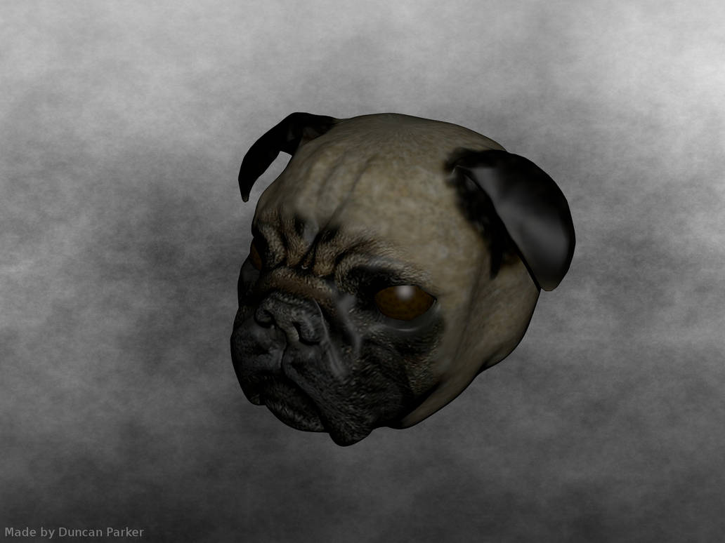 Pug WIP :D