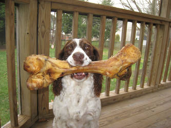 Tira's Big Bone