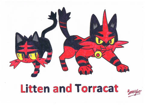 The Pokemon drawing on litten and torracat