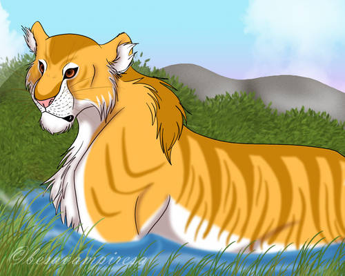 golden tiger