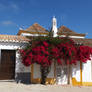 Bougainvillea Entrance