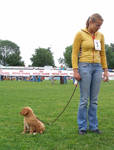 Showing a puppy by Smaragd01
