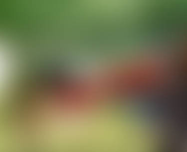 Best Seat in the House?