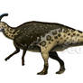 Charonosaurus jiayinensis