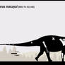 Pitekunsaurus macayai