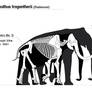 Songhua River Mammoths body size