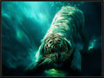 Underwater Tiger Retouch by PimArt