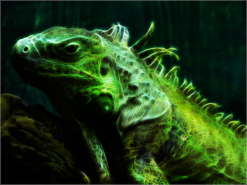 Iguana Fractal Wallpaper